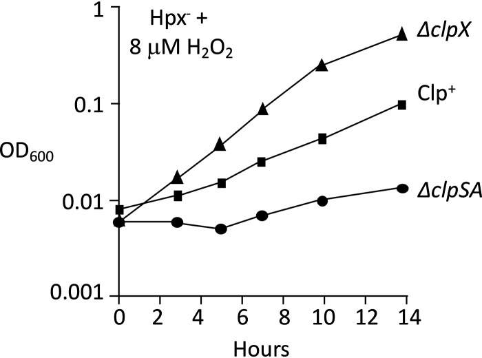 FIG 5