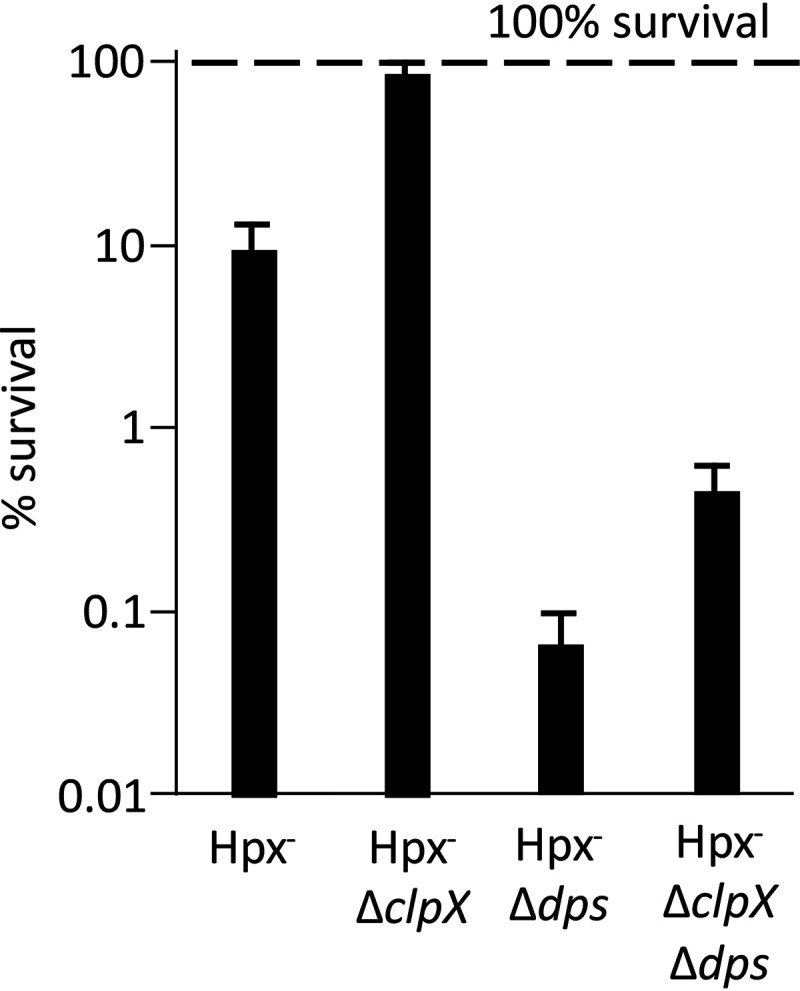 FIG 10