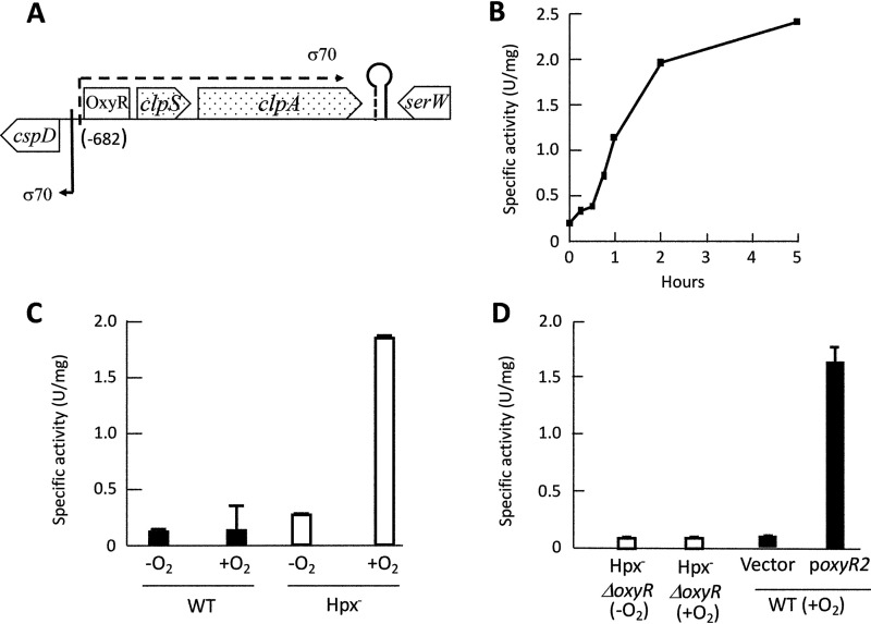 FIG 1