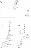 FIG. 2.