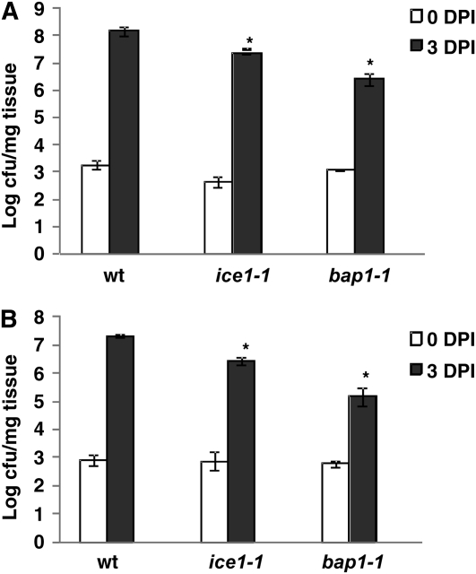 Figure 5.