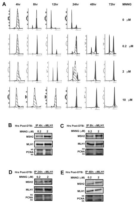 Fig. 5