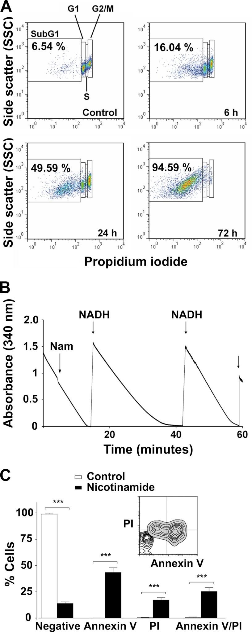 FIGURE 5.