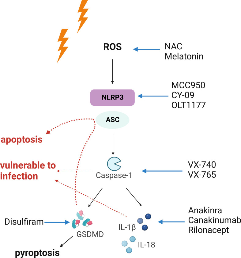 Figure 2