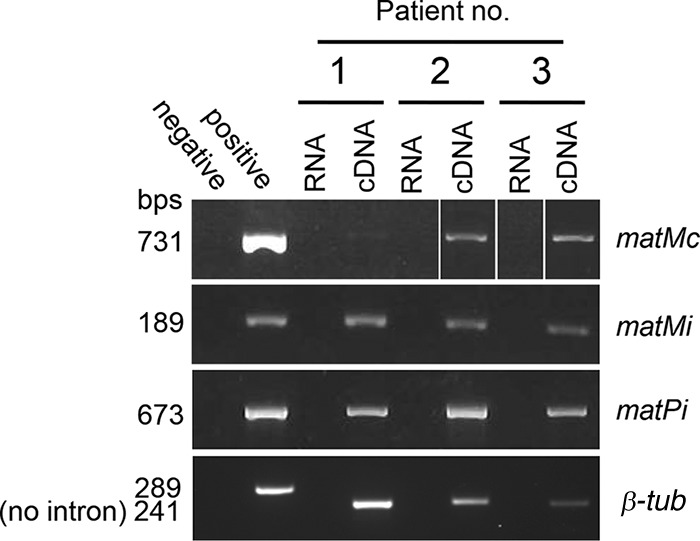 FIG 4 