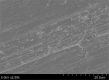 Figure 5