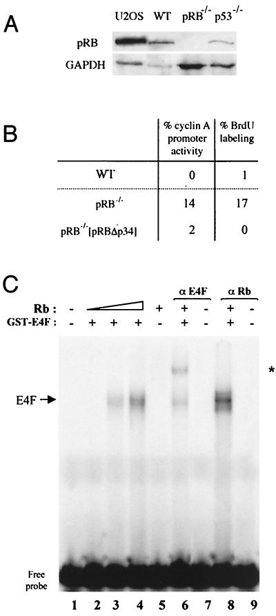 FIG. 10