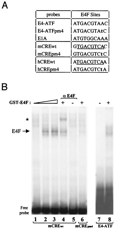 FIG. 5