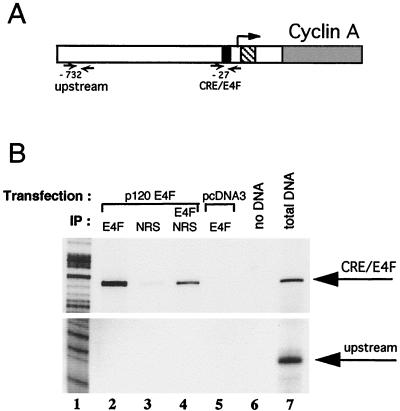 FIG. 7