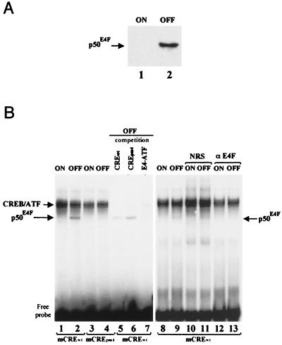 FIG. 6