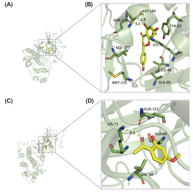 Fig. (5)