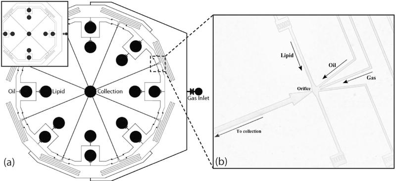 Fig. 10