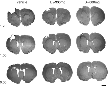 FIG. 6.