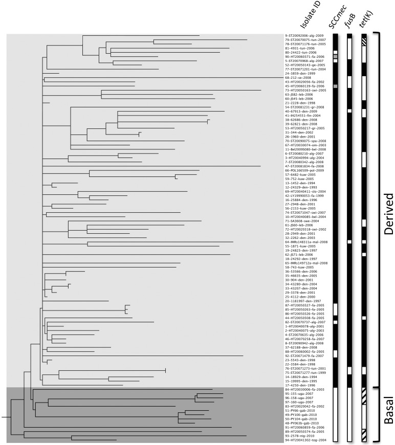 FIG 1 