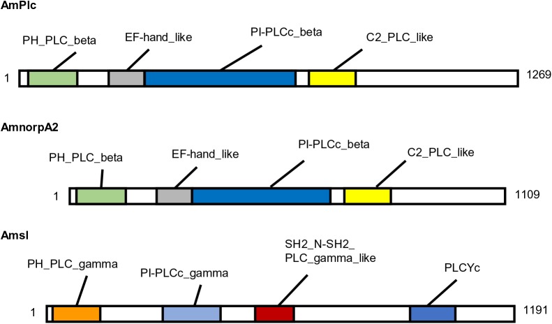 Fig. 2.