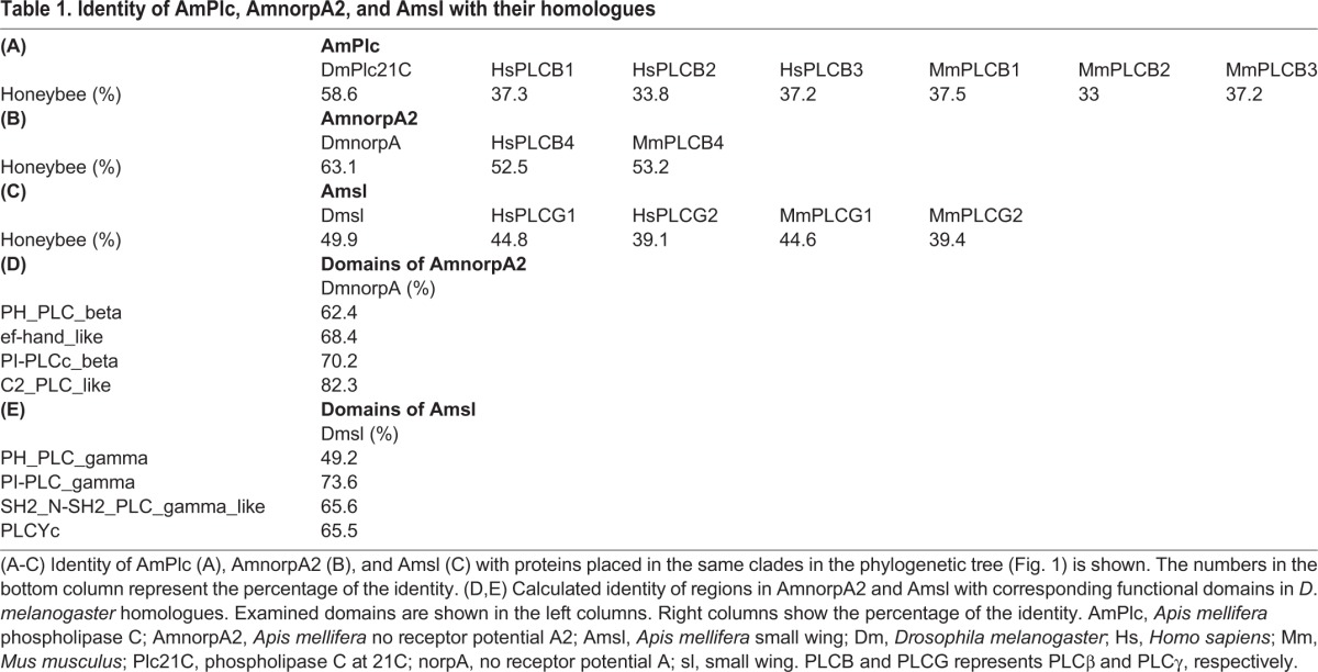 graphic file with name biolopen-7-028191-i1.jpg