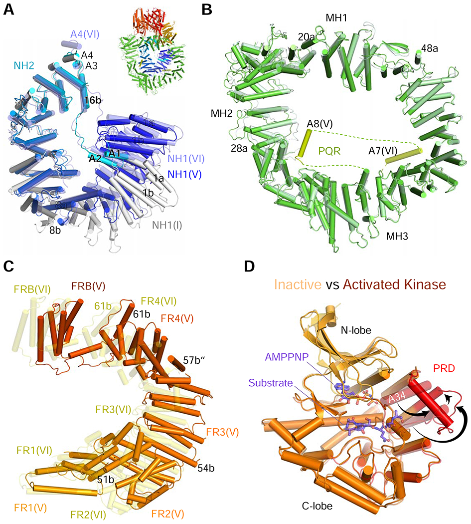 Figure 2.