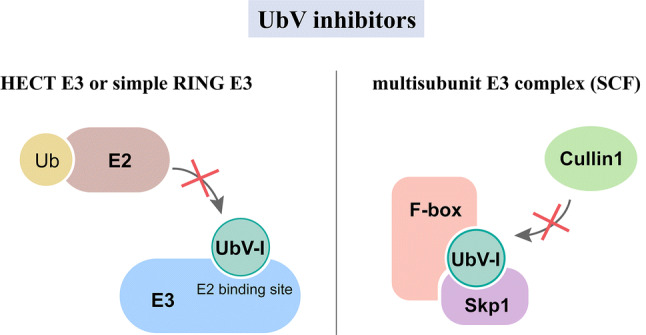 Fig. 4