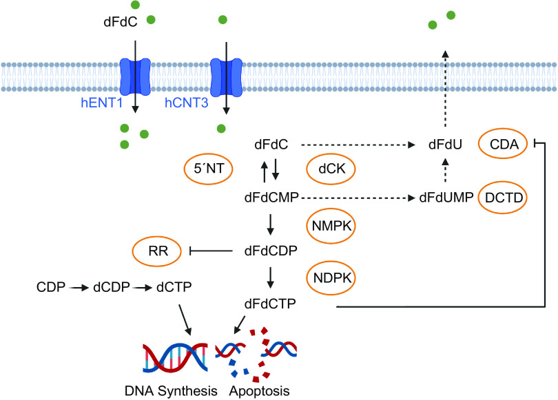 Figure 2.