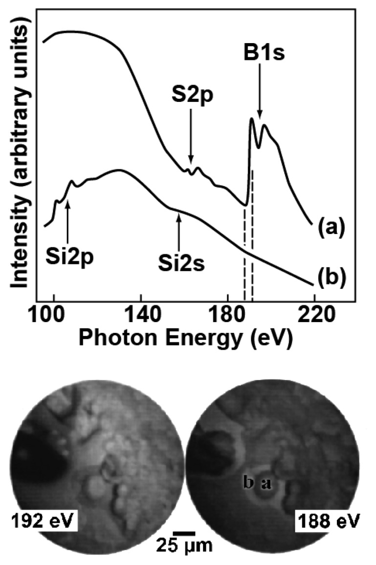 Figure 11.