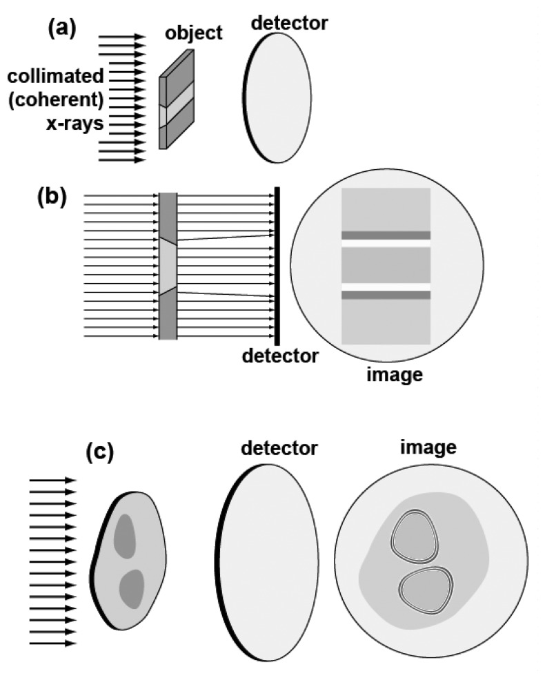 Figure 14.