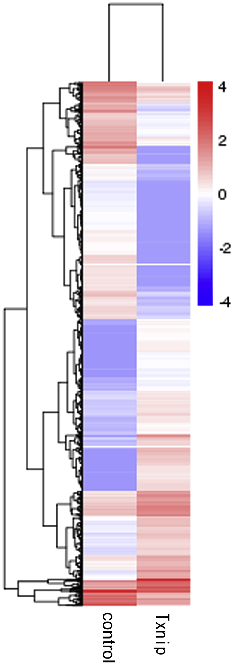 Fig. 1