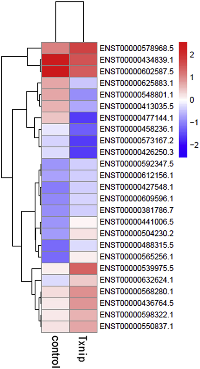 Fig. 3