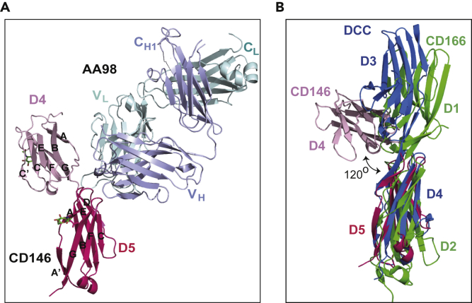 Figure 1