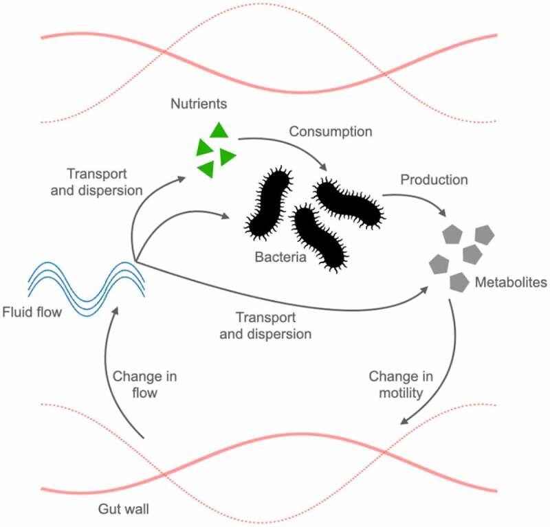 Figure 2.