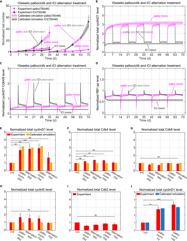 Figure 4