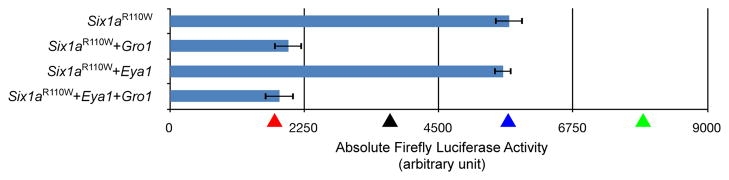 Fig. 5