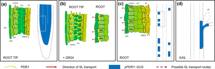 Fig. 1