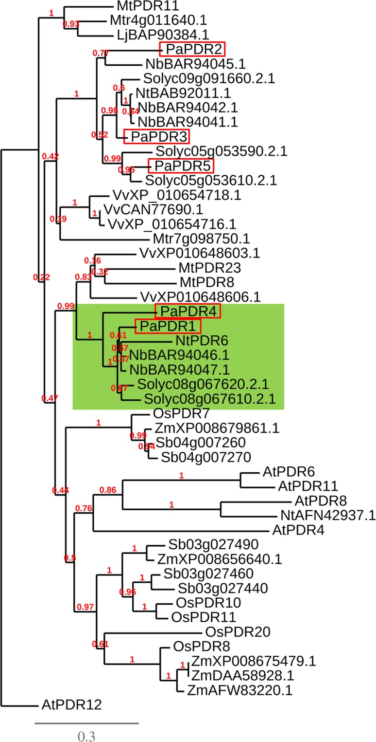 Fig. 3