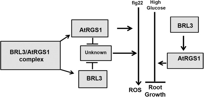 Fig 5