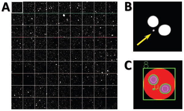 FIG. 4