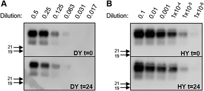 FIG 3