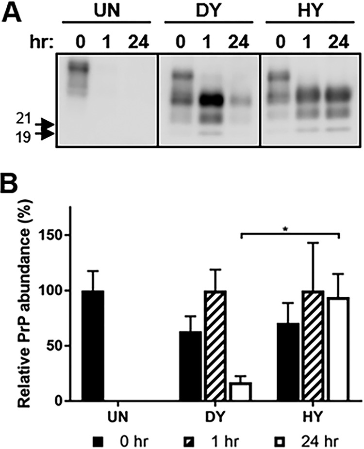 FIG 1