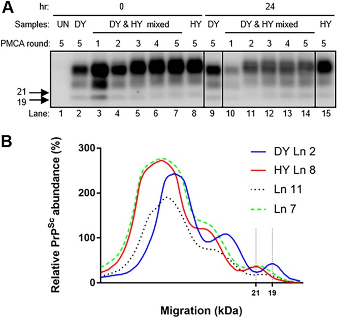 FIG 2