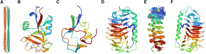 FIGURE 2