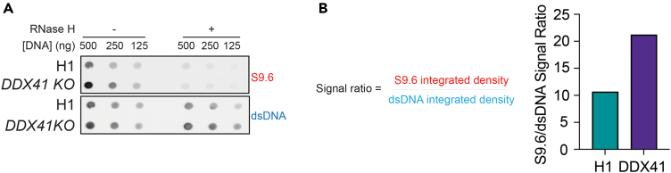 Figure 3