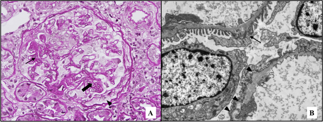 Figure 1: