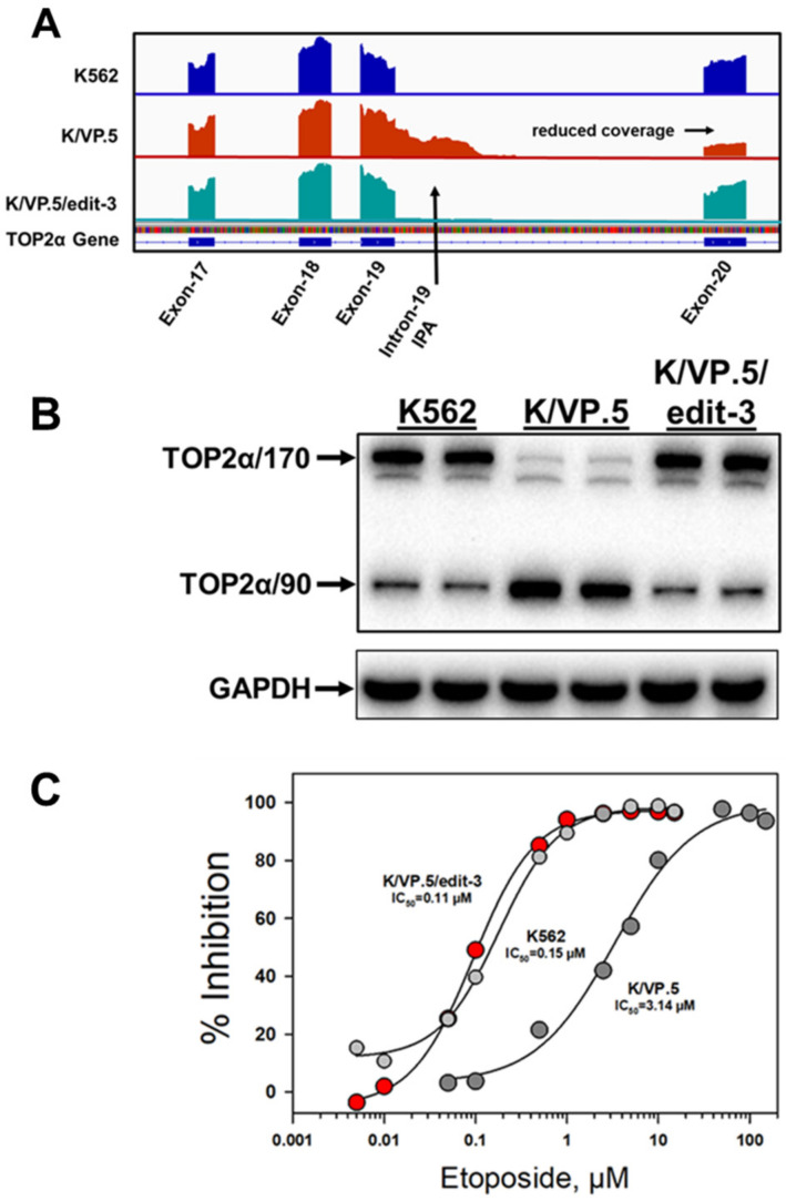 Figure 10