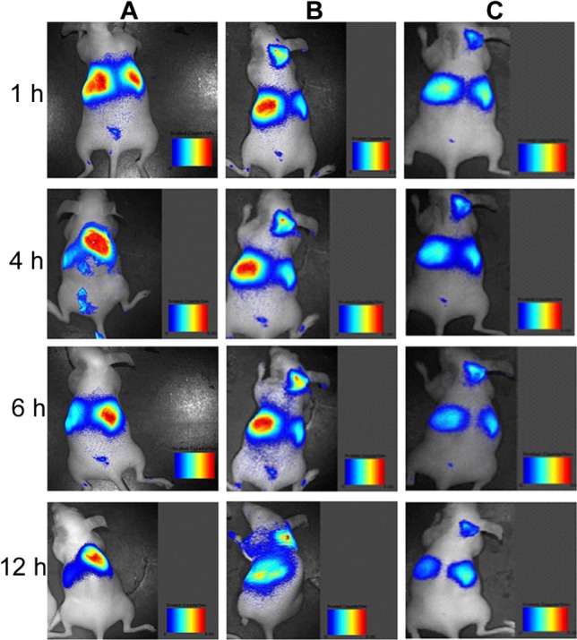 Figure 13