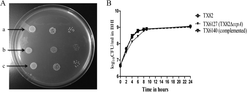 FIG 3