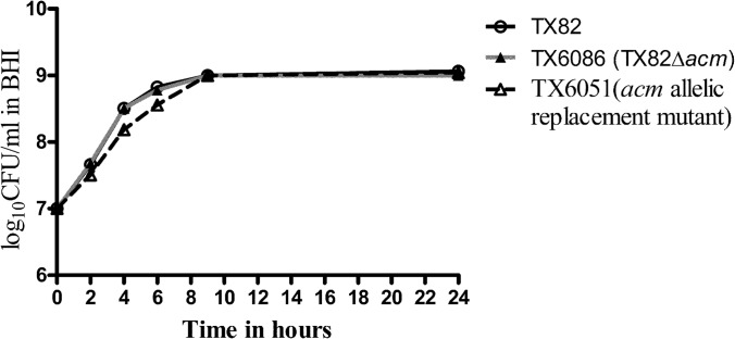 FIG 1