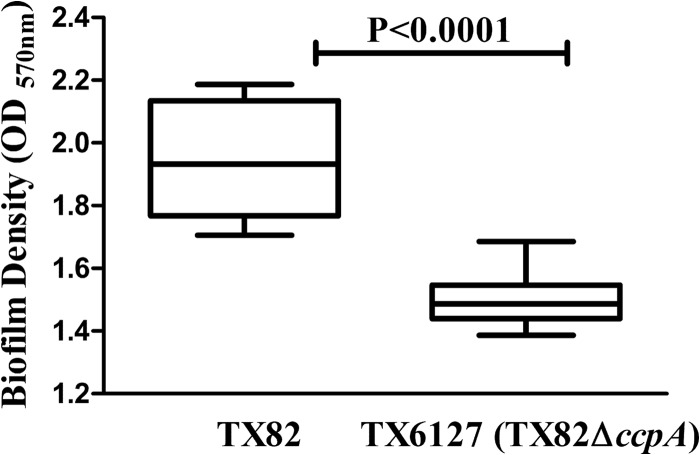 FIG 6