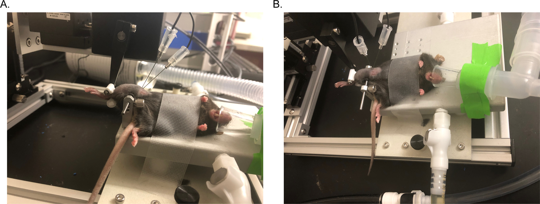 Figure 2: