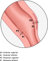 Fig. 5
