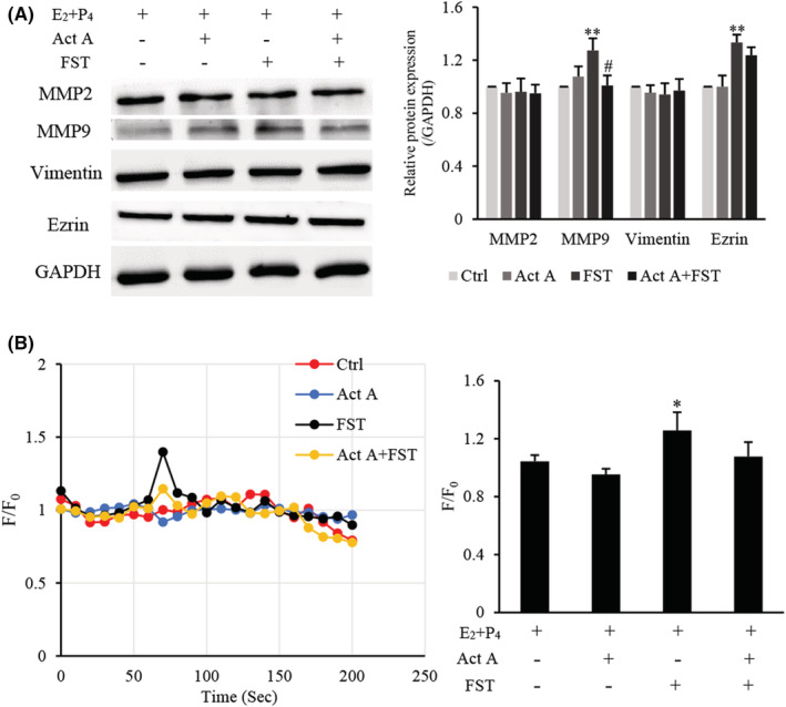 FIGURE 4