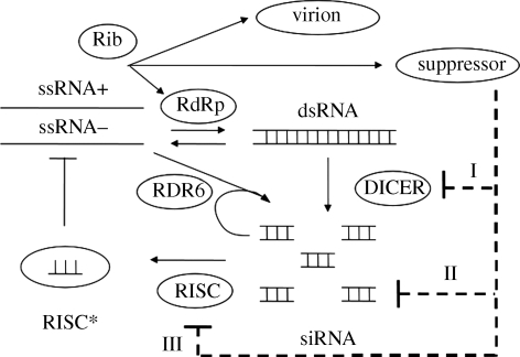 Figure 1.